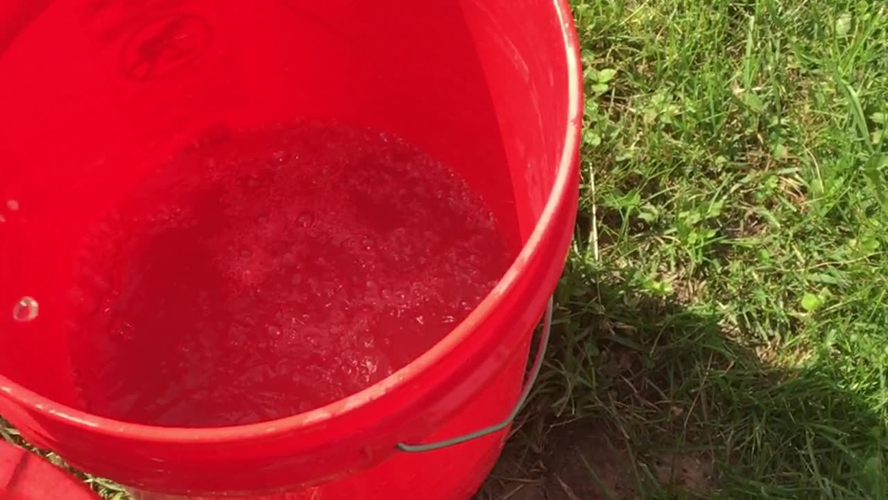 Water