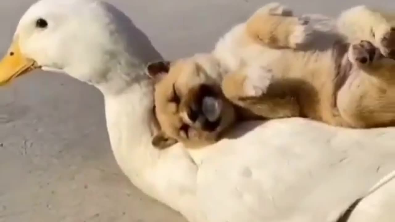 Best friends