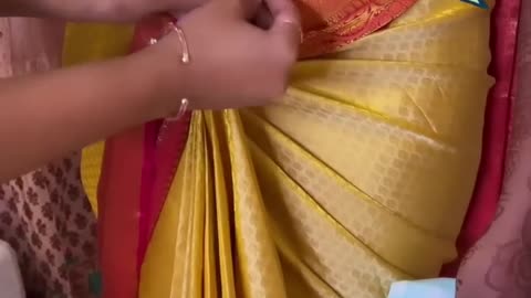 Saree cover