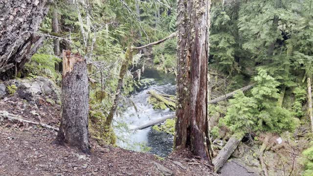 Learn From My Mistake & Hiking Strategy Game Theory – Sahalie Falls & Koosah Falls Loop – 4K