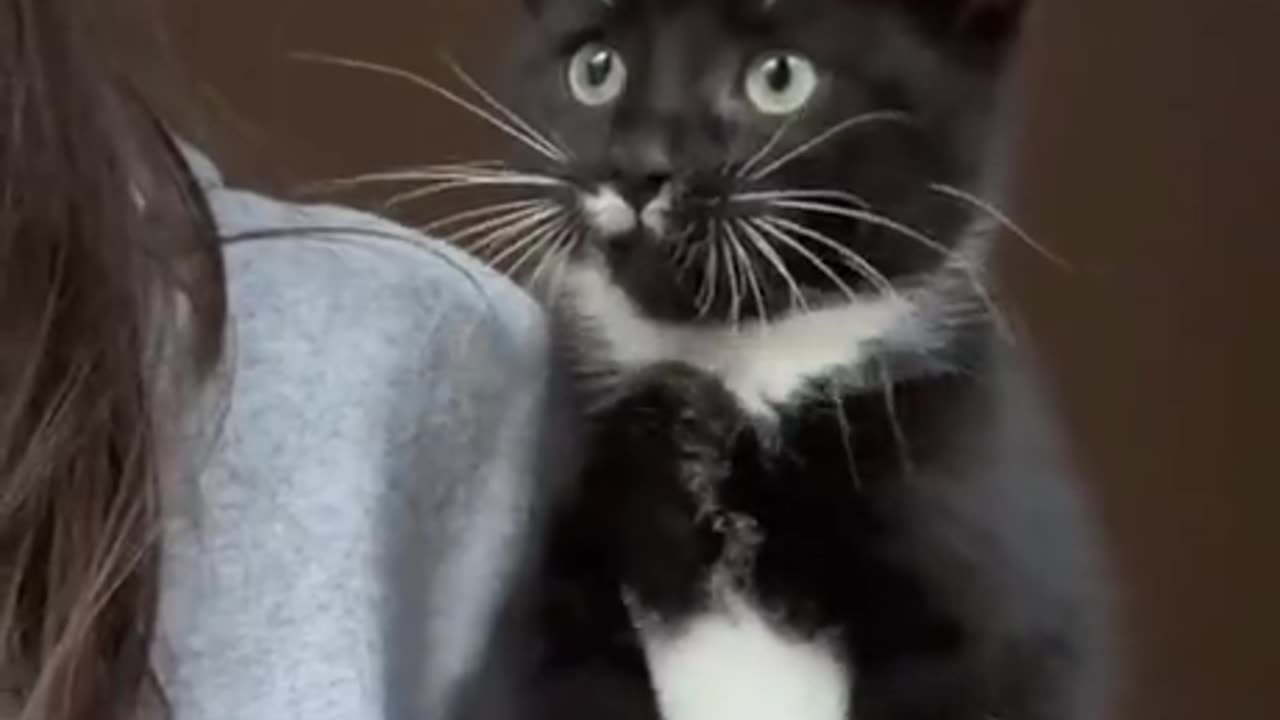 Did You see That, OMG!