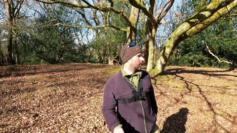 Vlog at an iron fort. New forest 2021
