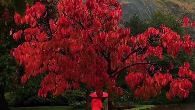 The atmosphere of "Edinburgh" in autumn
