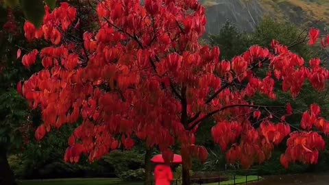 The atmosphere of "Edinburgh" in autumn