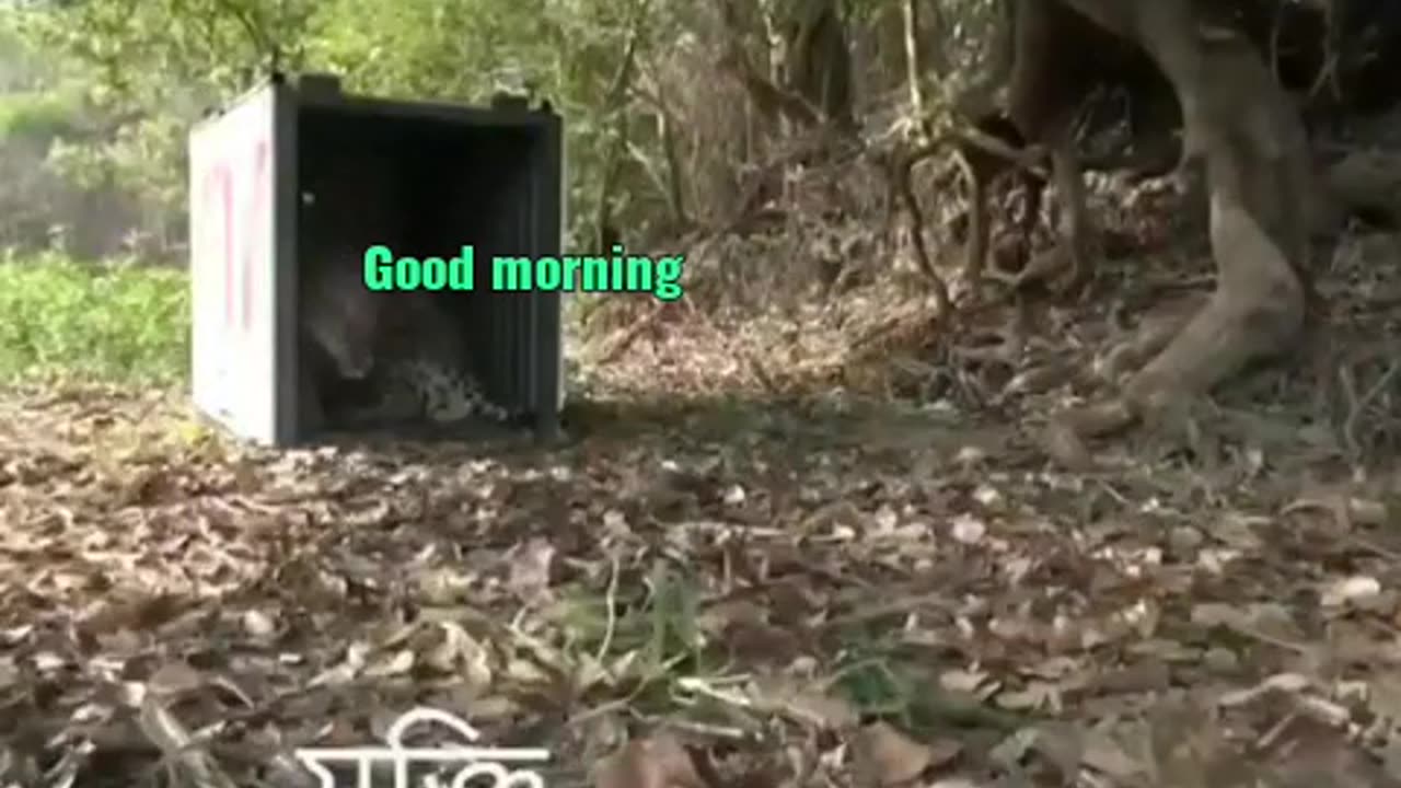 Nature