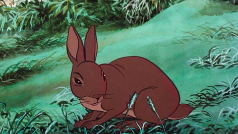 Watership Down (1978)