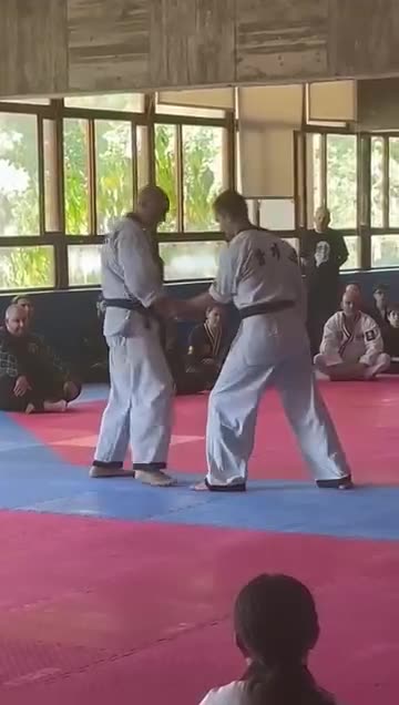 Hapkido