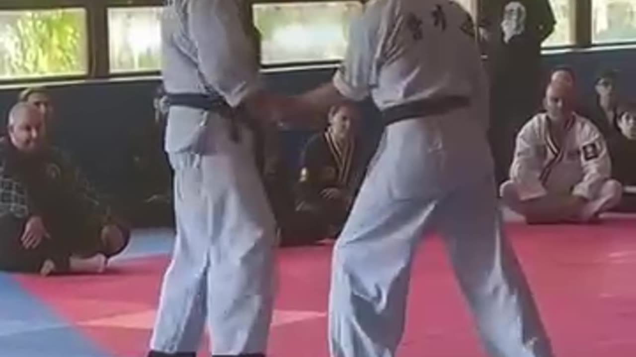 Hapkido