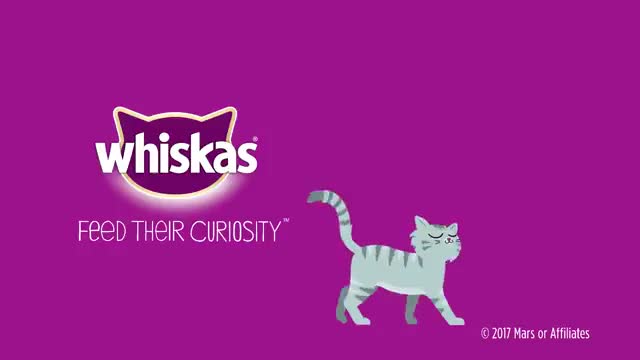 How Much Should I Feed My Cat_ - Whiskas K.I.T._2