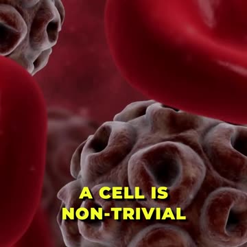 A fascinating Journey of Protein-Based Therapeutics: Unveiling Complexity 🌟