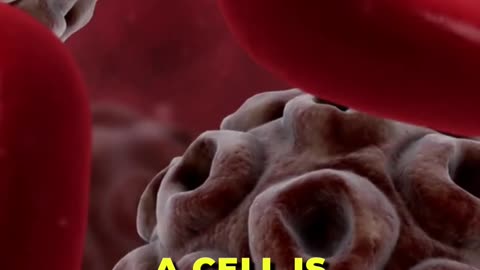 A fascinating Journey of Protein-Based Therapeutics: Unveiling Complexity 🌟
