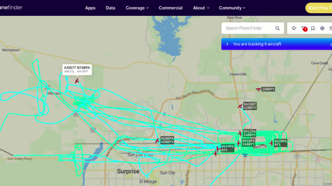 Bird Mafia Mormons and Chinese warfare - US60 - March 2nd - 2pm