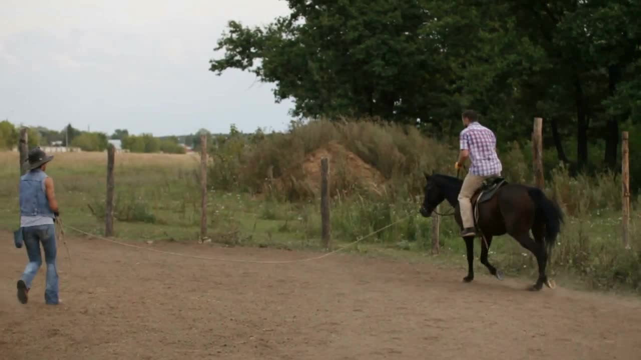 Bearded man is riding on horse - hippodrome riding lesson, slow-motion