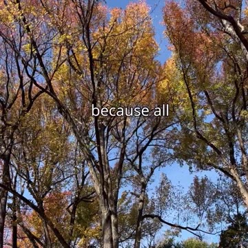 Human Nature vs Grace Part 7