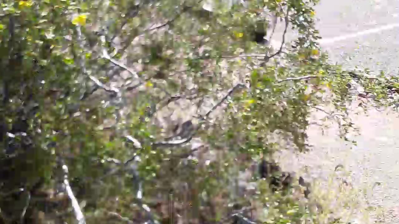 Praise God the Union and Abraham Lincoln won, otherwise slavery stayed