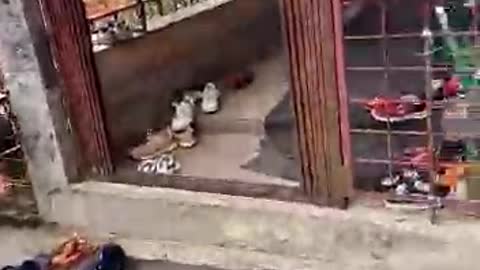 Best Funny Video 2022। Funny Video। Comedy Video 2022