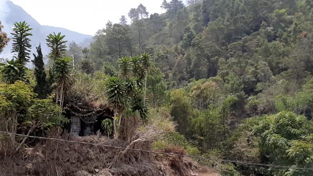 Gedong songo temple