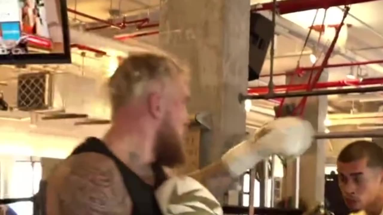 Jake Paul Spars Sneako n Punches Sneako hard