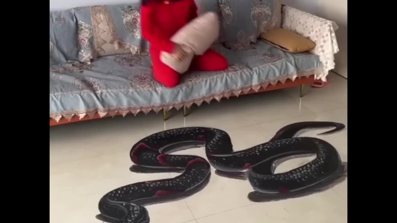 Fun & Entertainment |#Funny #fun #comedy