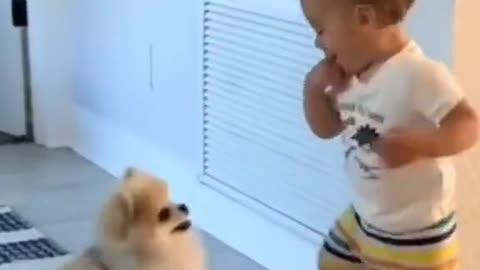 Cute puppy with cute baby