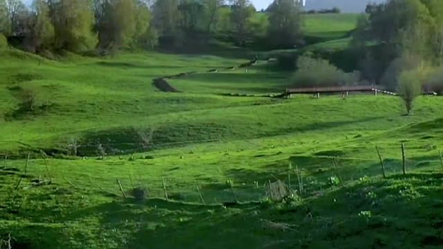 Always come to Xinjiang in summer! Watch the grassland with you.