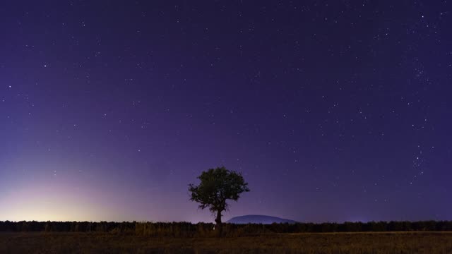 The Most Beautiful Night Sky Footage