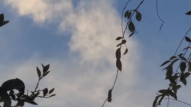 Not feeling good 😞