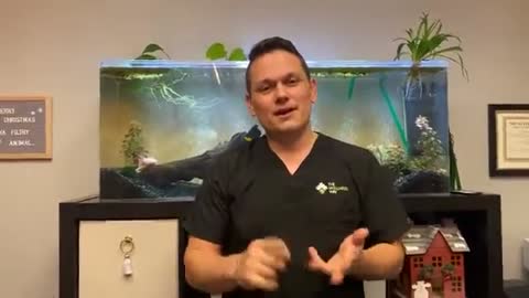 Friday Funday Episode 2...Axolotls!