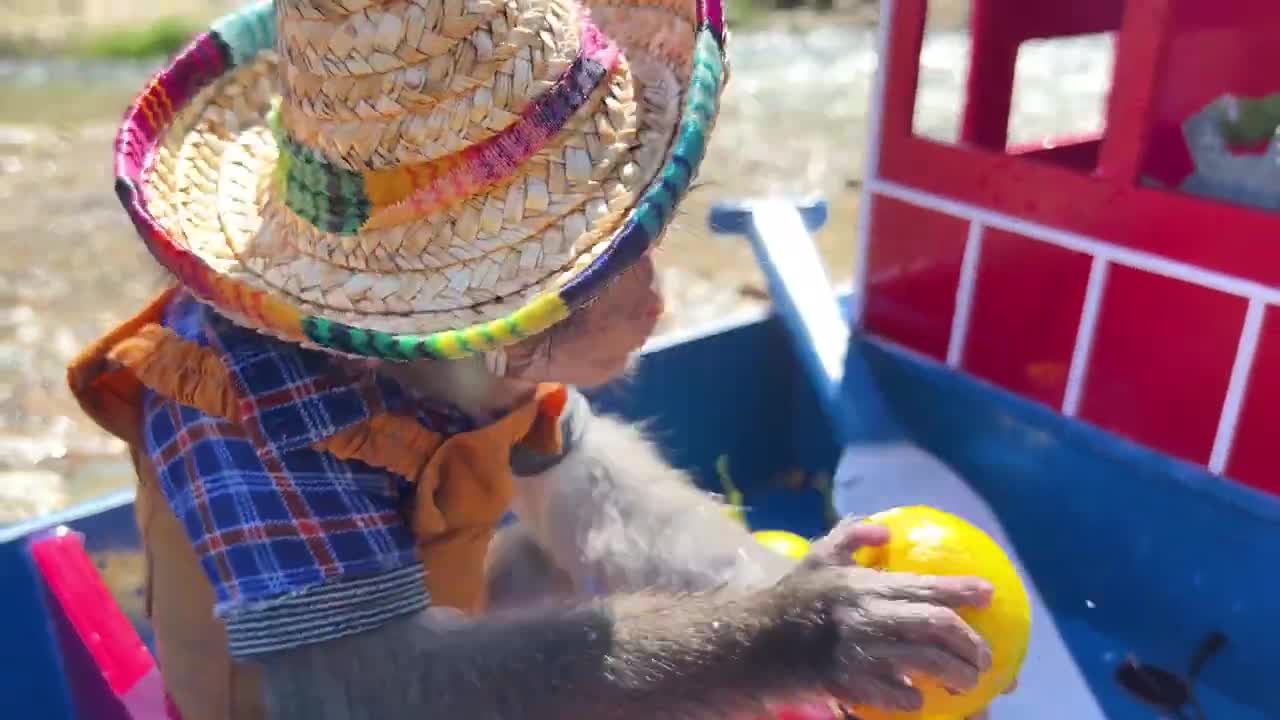 Monkey Baby Bim Bim and Obi go fishing on the boat and meet SHARK-14