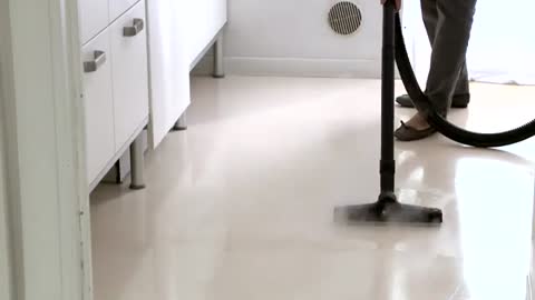 Eco Steam Vac Dual distributed by Cleaner Solutions International