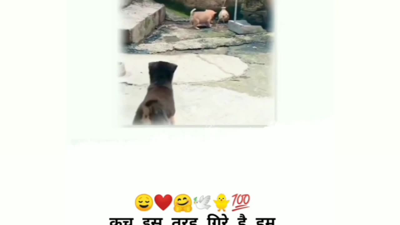 Love status