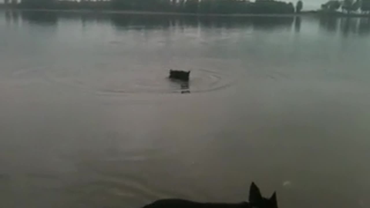 Fiona at the river with her rock