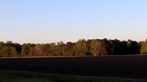 nature 4-20-2022 p1