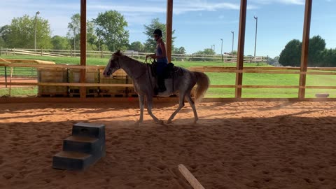 western beginner 5