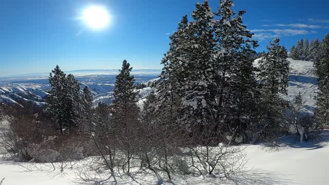 Stack Rock Trail