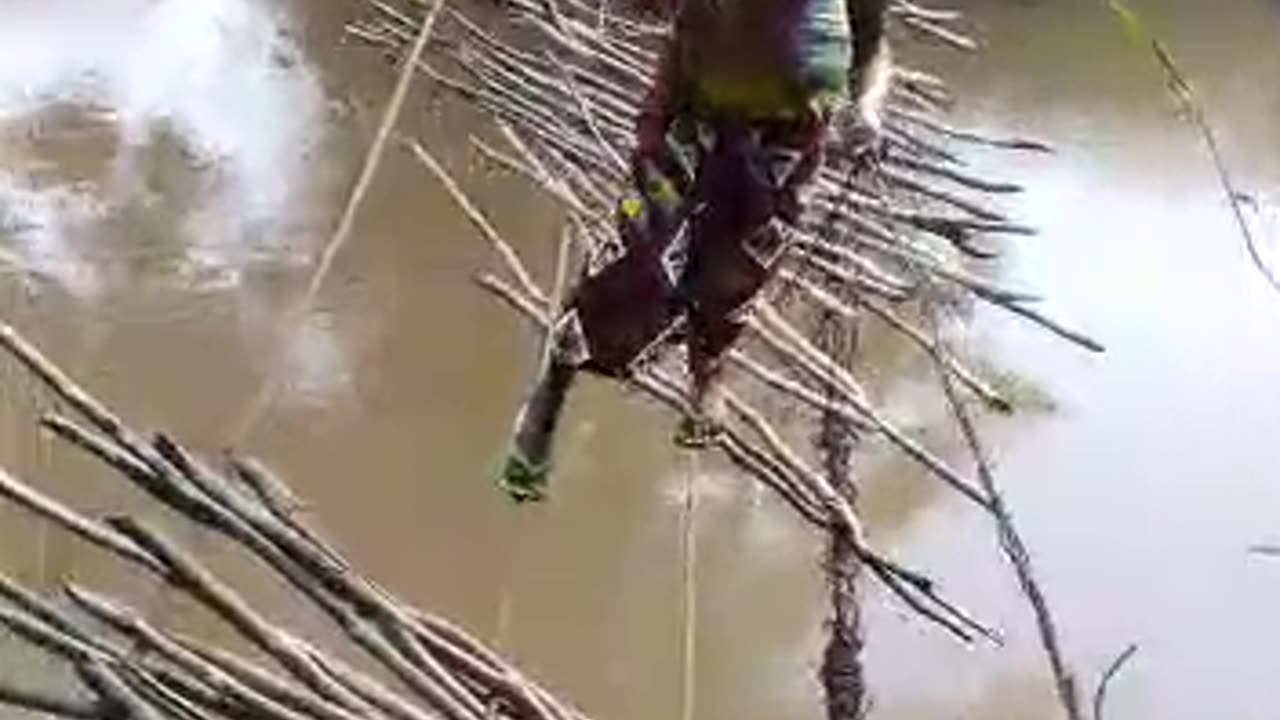 Bridge in the Niger Delta. Where is the money coming from again?