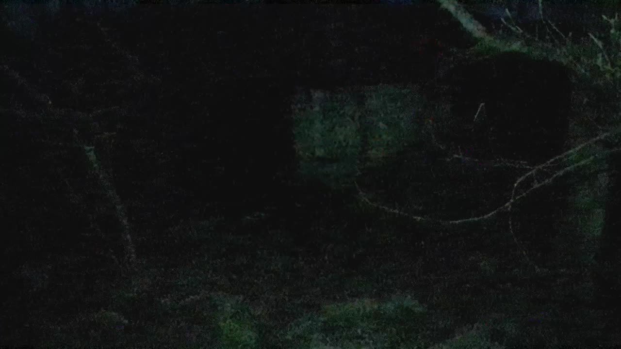 F̴̢͕̥͖̭̊Į̴͎̺̬̩̤̑̾͊̑͝N̷̞͒͑̕D̴͓͆͐ͅ ̴̡̡̗̦͒͛͐̈́̄̈́͜M̸̱̈́̇̍͝E̵̝̠̻͊̏