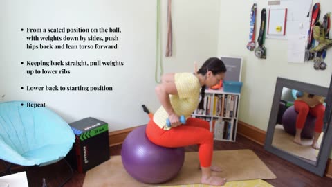 Physio Ball DB Row