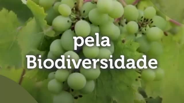 AGAVI | Somos pela Gastronomia, Vinhos, Produtos Regionais e Biodiversidade | Somos por Portugal