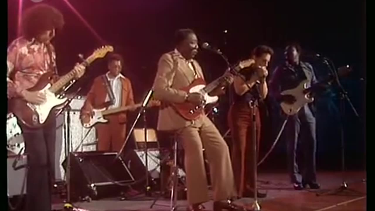Muddy Waters - Howling Wolf