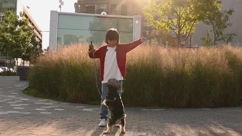 The Dog pappy playing with Boy.