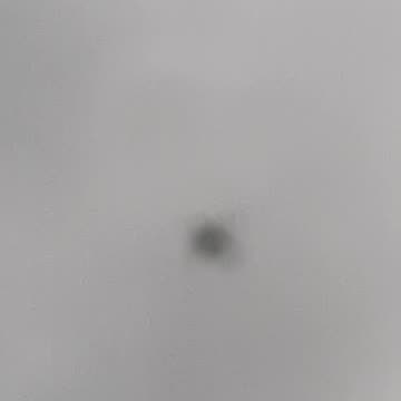 Flights from Calgary Airport 5