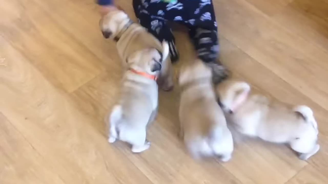 😂😅😂😂🤣😁