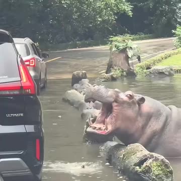 Paying the toll for safe passage