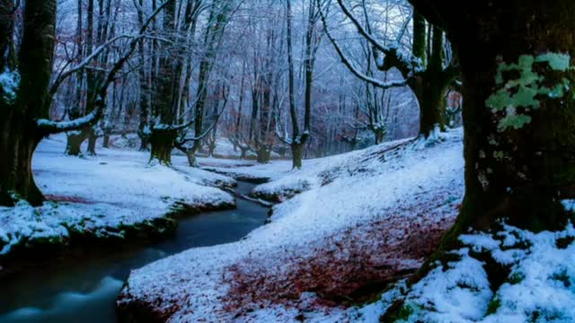 Relaxing, Calm, Stress Relief Music # 80