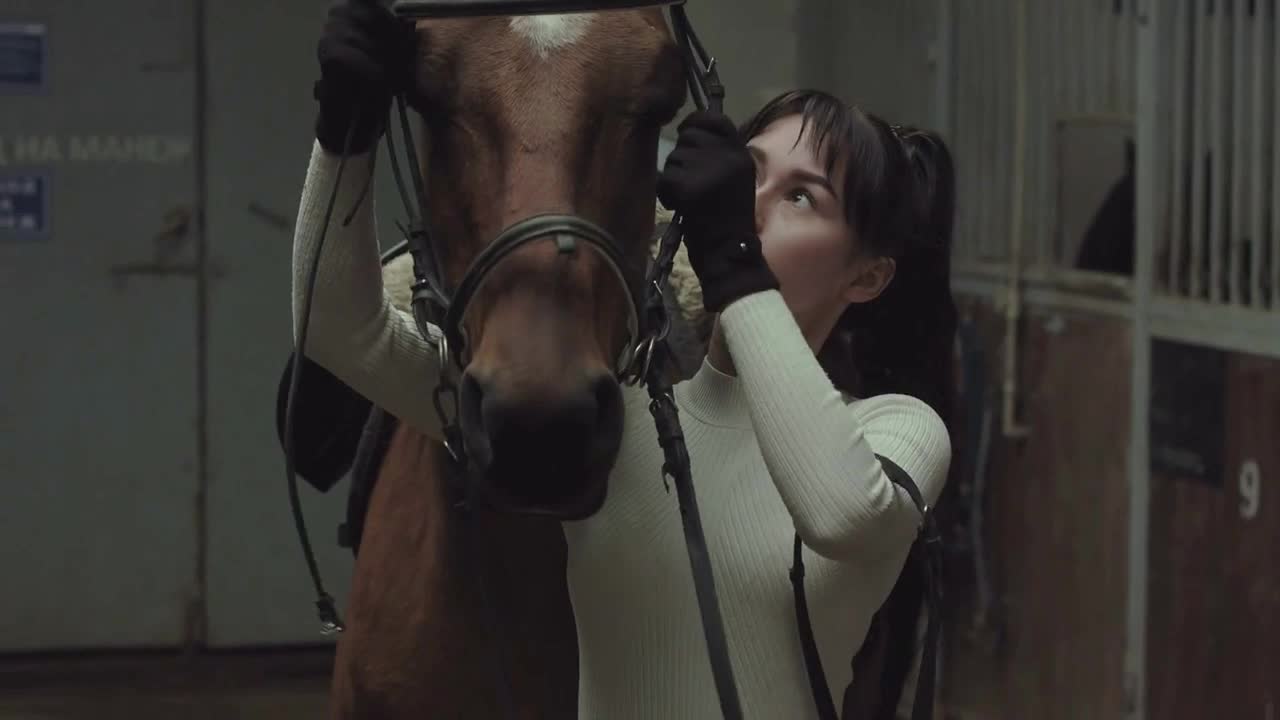 Young woman puts a bridle on a horse