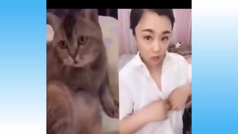 super funny cat