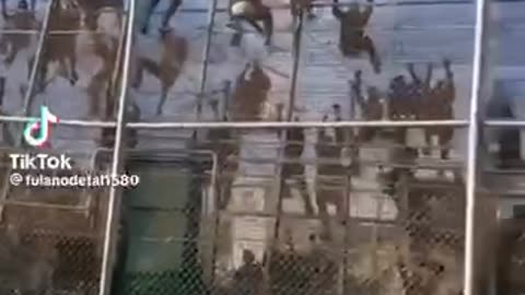 Border looking like The Walking Dead