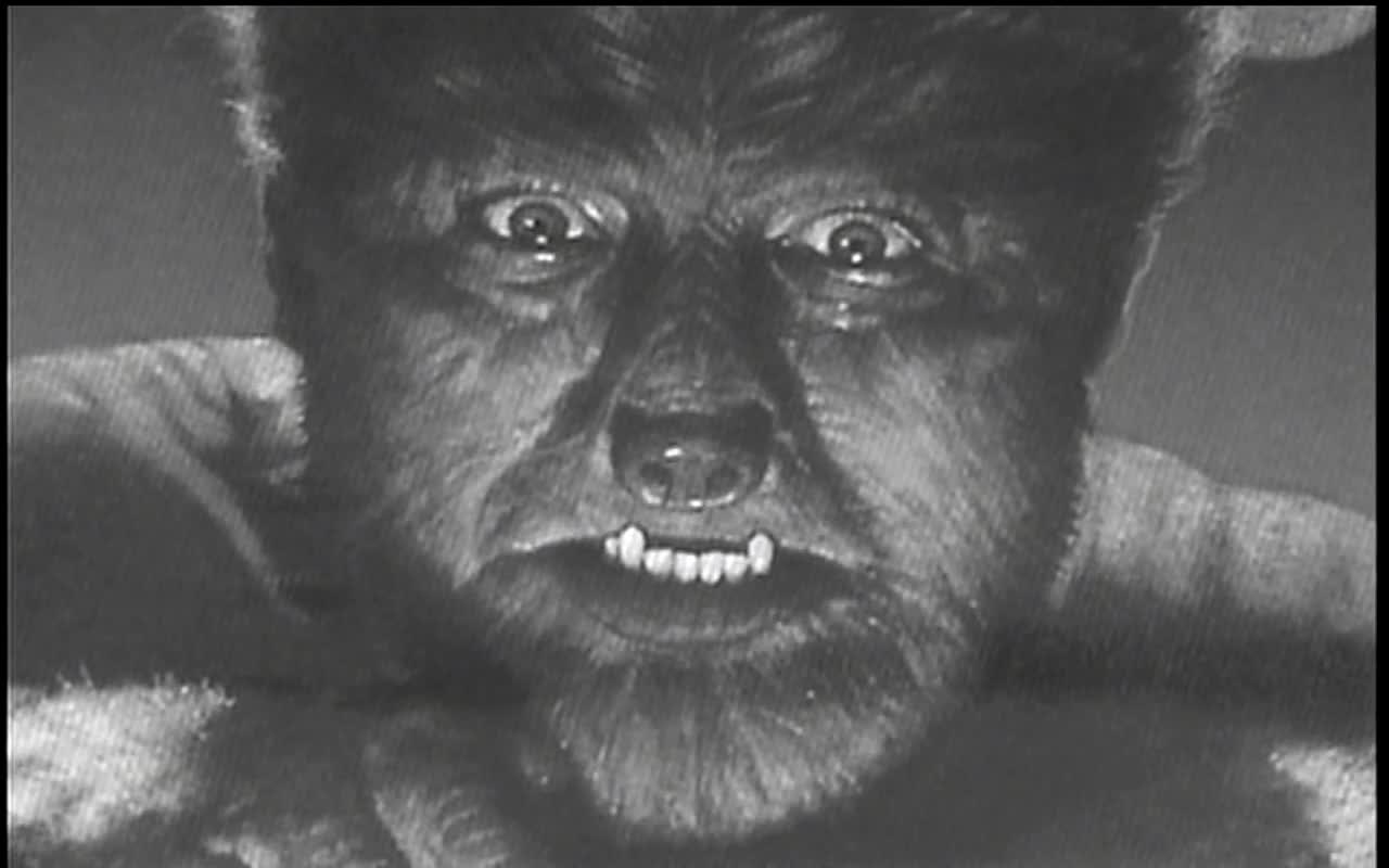 "THE WOLF WITHIN" (Woolworth's at Key Largo).