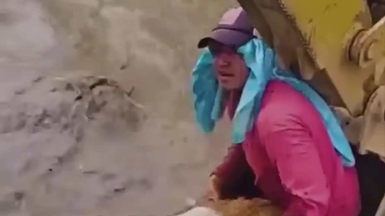 Funny Animals